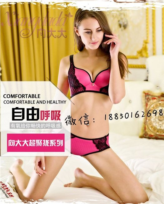 厦门向大大内衣怎么样如何代理厂找向大大华博基尼