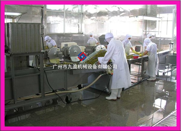净菜加工生产线净菜加工设备蔬菜气泡清洗机全套设备