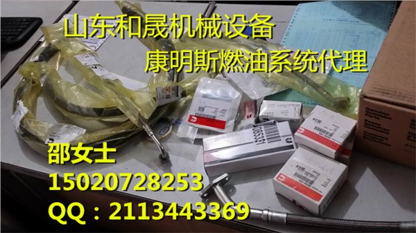 春季畅销4319031Cummins凸轮轴衬套4319032