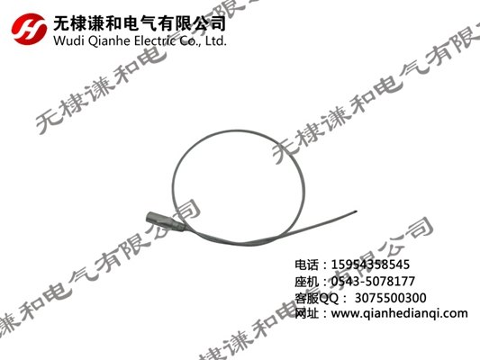 一次性防盗铅封谦和施封锁