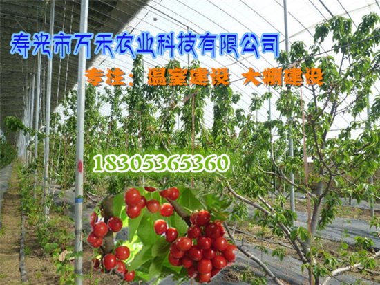 冬暖式大棚棉被拱棚寿光市万禾农业