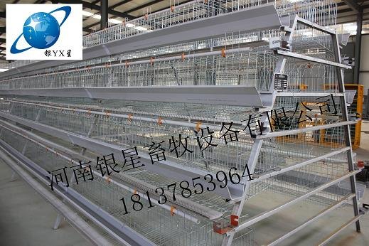 供应阶梯式蛋鸡笼笼生产厂家【银星】唯一行业最早荣获国家专利产品企业