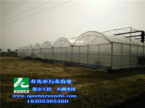 蔬菜大棚简易连栋拱棚寿光市万禾农业