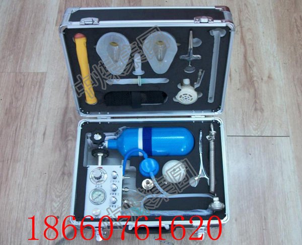 MZS-30自动苏生器救人自动苏生器