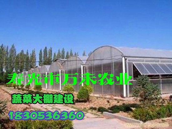 智能温室pc板温室寿光市万禾农业
