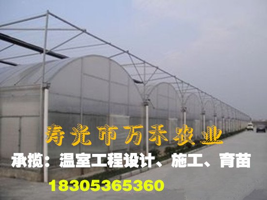 智能温室薄膜温室寿光市万禾农业