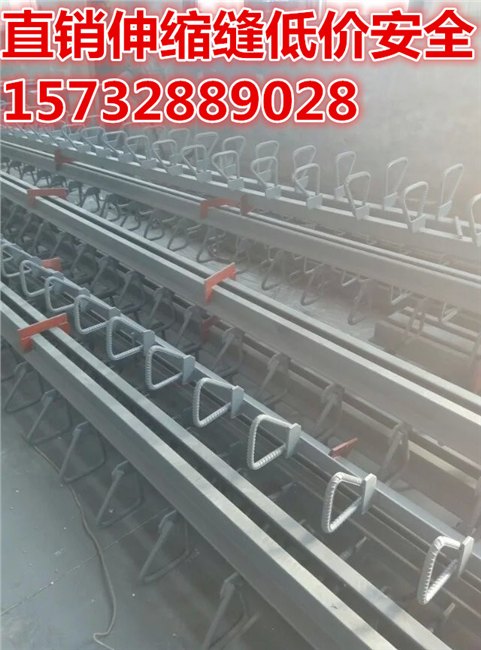 陕西延安/榆林/伸缩缝；桥梁伸缩缝道MZL480路伸缩装置