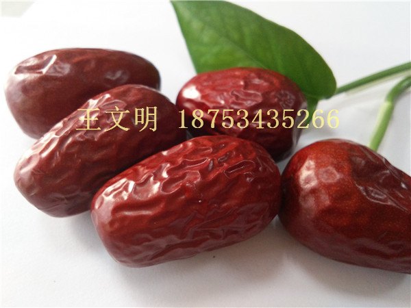 山东厂家批发供应新疆红枣价格