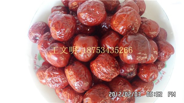 山东大枣产地批发代购厂家