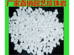 供应厂家直销农园艺栽培 土壤改良用的大颗粒珍珠岩