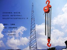 群吊电动葫芦生产厂家宇雕电动葫芦