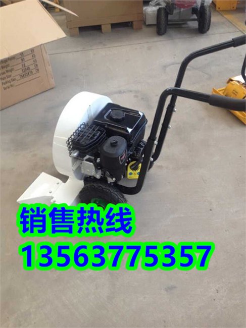 落地清扫专用手推吹风机地板清理机道路清缝机图片