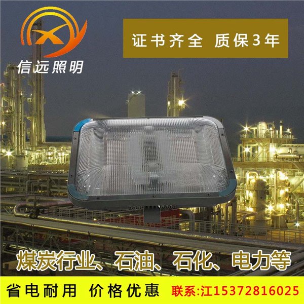 温州信远照明9175长寿顶灯