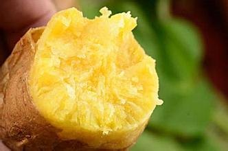 加盟薯立方电烤地瓜的优势