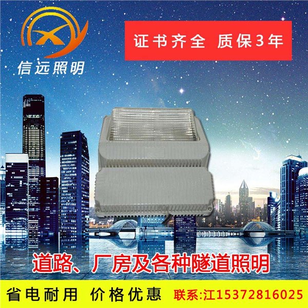 温州信远照明9730防眩通路灯