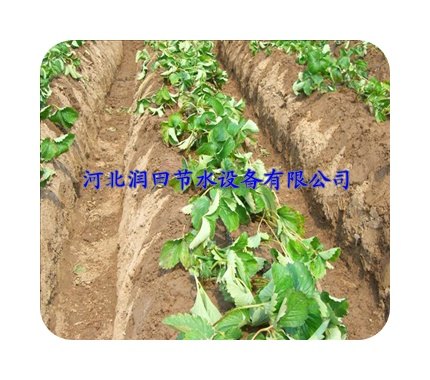大田草莓双孔出水管安阳农用滴灌管