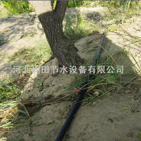 枣阳市猕猴桃栽培小管出流供应