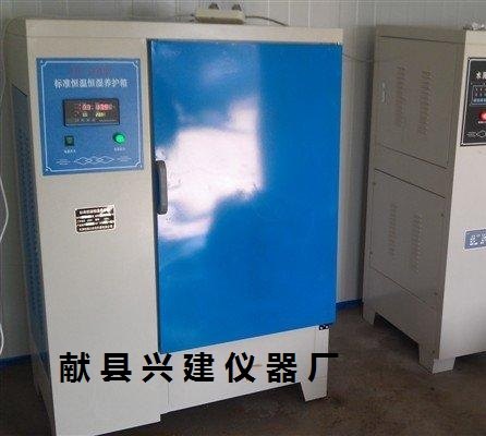 砼标养箱YH-40B型水泥标养箱