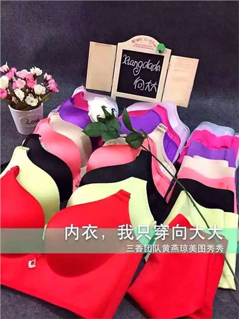 厦门怎样代理向大大厦门华博基尼内衣多少钱十大品牌排名