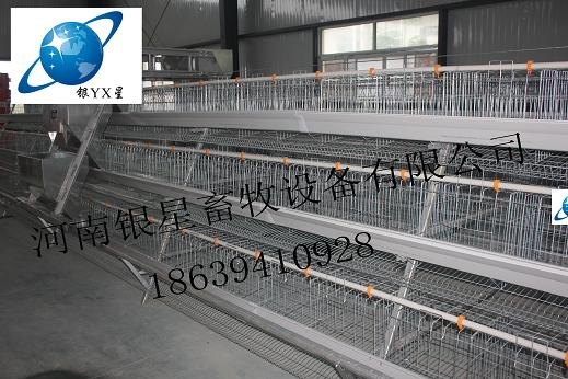供应周口哪里的阶梯式喂料机好|周口阶梯式喂料机网址【银星】