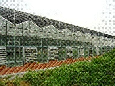 新型蔬菜大棚-,青州市长庆温室工程有限公司