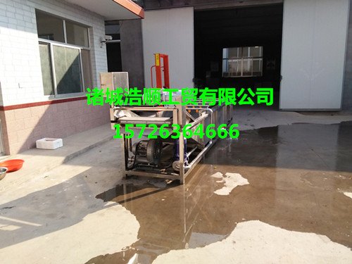 臭氧杀菌蔬菜清洗机诸城浩顺