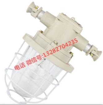 荣通矿用隔爆型灯具60W白炽灯螺口