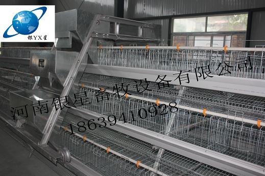 供应周口成品阶梯式喂料机电话|周口阶梯式喂阶梯式料机团购【银星】