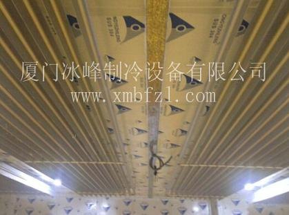 泉州冷藏库|冷库设计|小型蔬菜冷库|速冻库-制冷设备