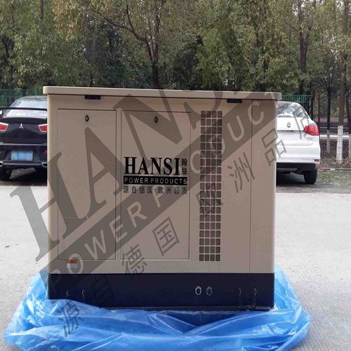供应双燃料全自动汽油发电机30KW