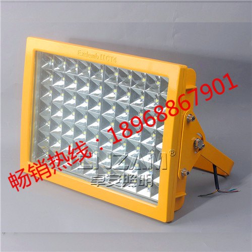 50W120WLED防爆灯防爆灯LED免维护