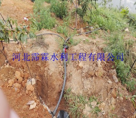 果树滴灌设备