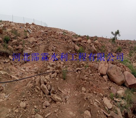 果树滴灌设备