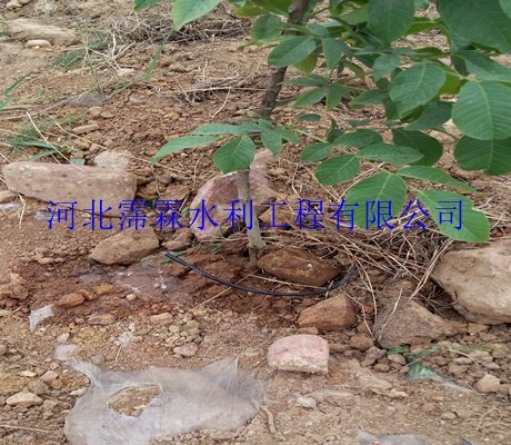 果树滴灌设备