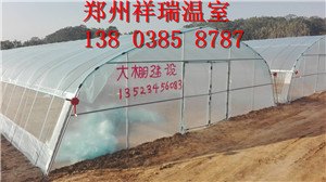 周口蔬菜温室大棚花卉温室大棚建造技术
