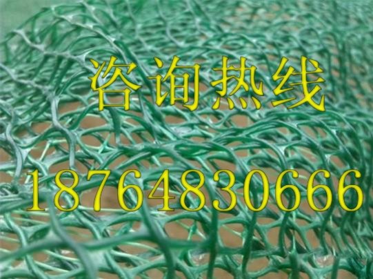 三维土工网垫生产厂家