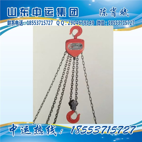 环链电动葫芦，电动葫芦厂家，电动葫芦供应商