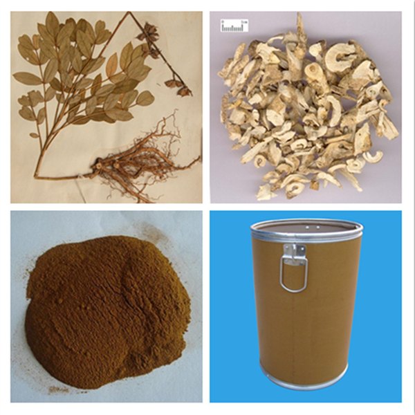 白鲜皮提取物，植物提取物
