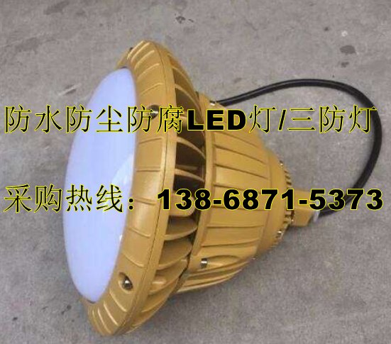 FAD-E50h1立杆式三防LED灯/50W工厂防水防尘灯