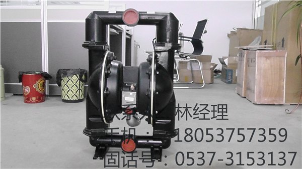 BQG450/0.2气动隔膜泵厂家出售