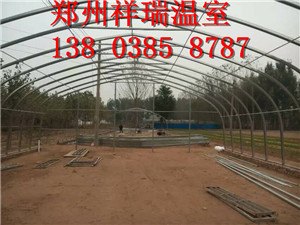 蔬菜温室大棚阳光板造价