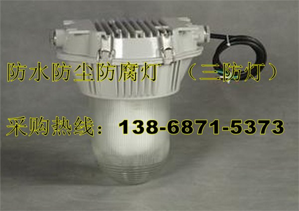 85W无极灯防水防尘防腐灯FAD-W85h185W立杆式2.5M