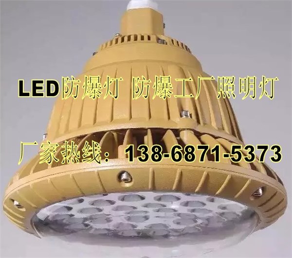 20W/220VAC工厂防爆灯BAD85-S20g管吊式30Cm