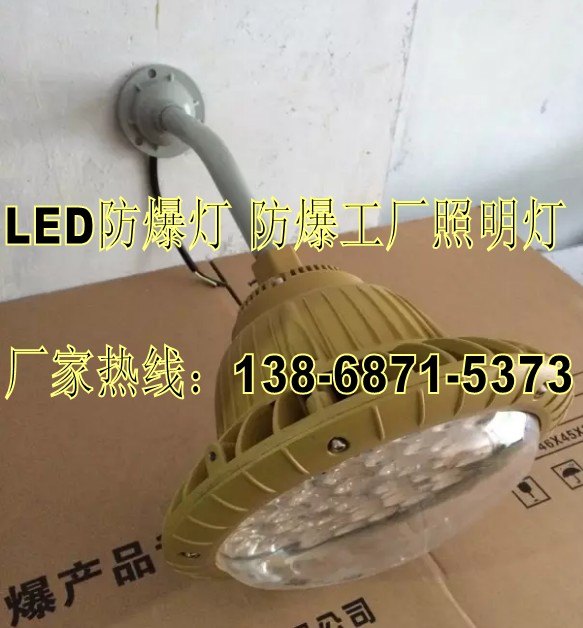 护栏式2.5米防爆弯灯30WBAD85-S30h220V/IP65