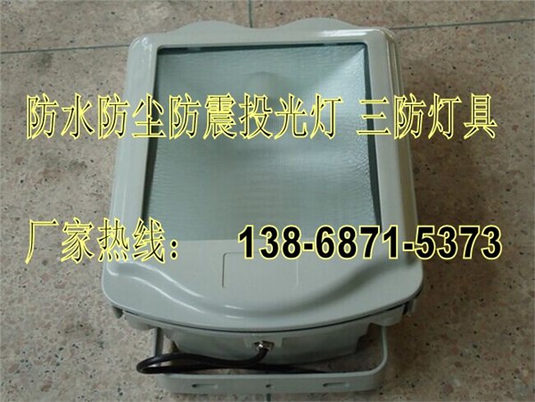 GT302-L250/GT302-J250、250W防水防尘防震防眩灯