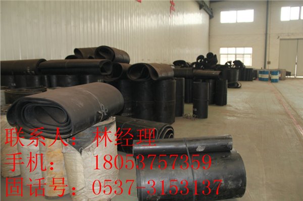 东达GLD系列带式给煤机专用环形钢丝带