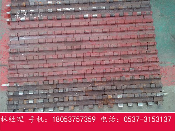 东达GLD系列带式给煤机配套20B链条