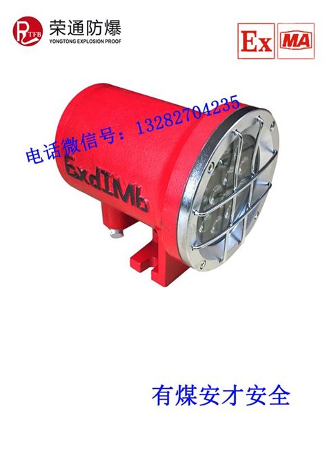 荣通DGY9W18W24W矿用机车灯芯包含24V36V