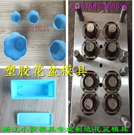 哪有蔬菜盆注塑模具公司