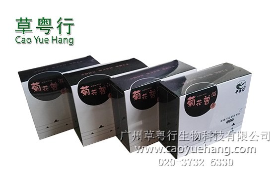 菊花普洱代用茶加工首选草粤行生物科技有限公司